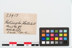 Etiketten zu Glasringperle (NHMW-PRAE-023958)